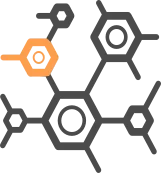 The Compliance Team logo