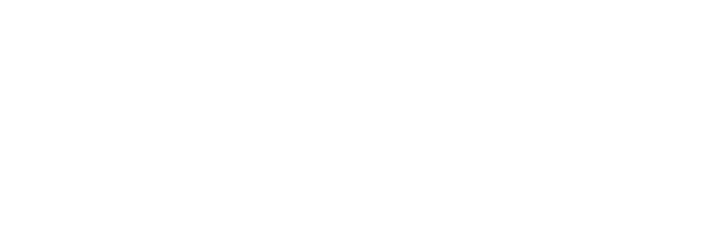 Food Safety Net Services LLC (FSNS) logo